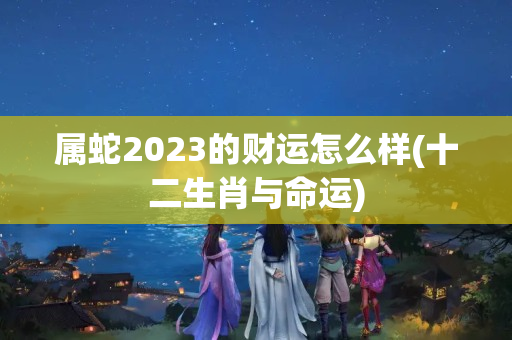 属蛇2023的财运怎么样(十二生肖与命运)