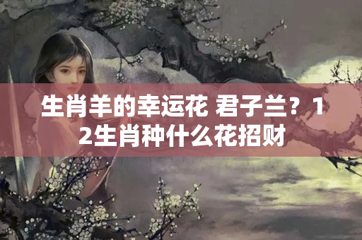 生肖羊的幸运花 君子兰？12生肖种什么花招财