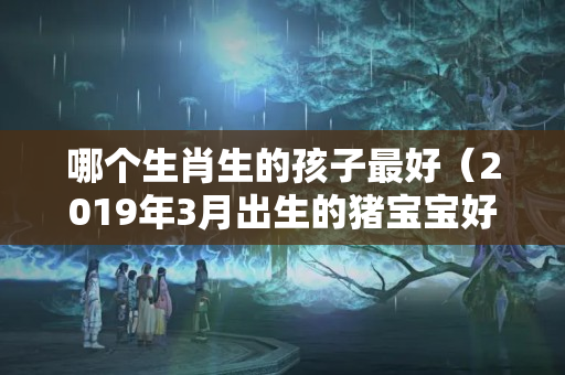 哪个生肖生的孩子最好（2019年3月出生的猪宝宝好吗）