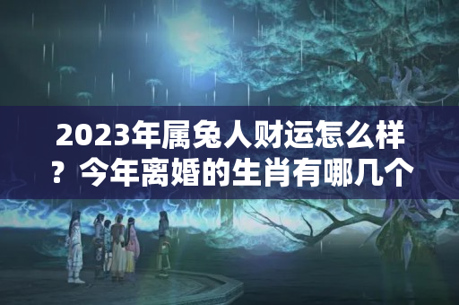 2023年属兔人财运怎么样？今年离婚的生肖有哪几个