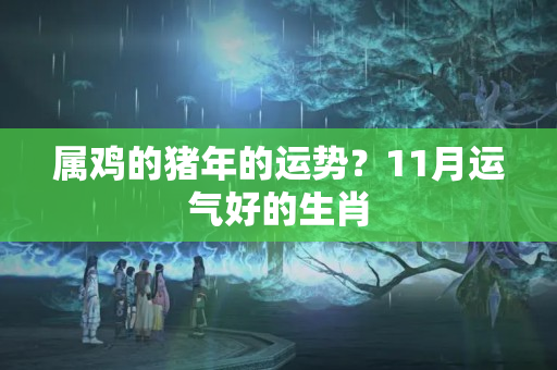 属鸡的猪年的运势？11月运气好的生肖