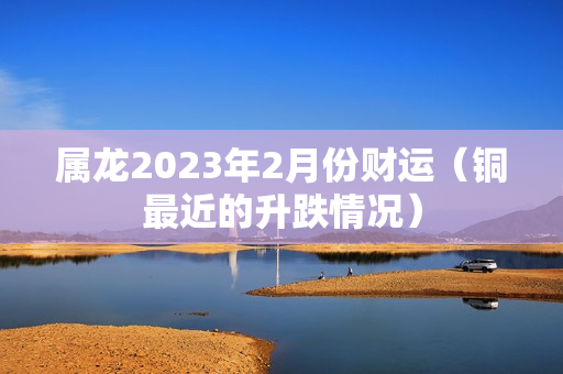 属龙2023年2月份财运（铜最近的升跌情况）