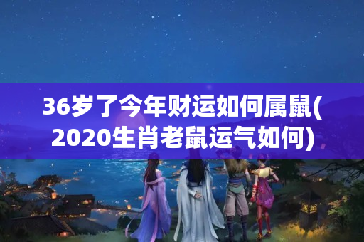 36岁了今年财运如何属鼠(2020生肖老鼠运气如何)