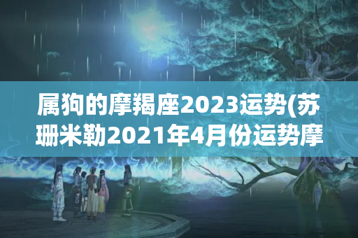 属狗的摩羯座2023运势(苏珊米勒2021年4月份运势摩羯座)