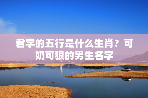 君字的五行是什么生肖？可奶可狼的男生名字