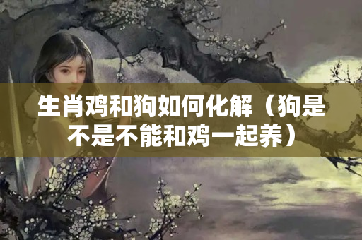 生肖鸡和狗如何化解（狗是不是不能和鸡一起养）