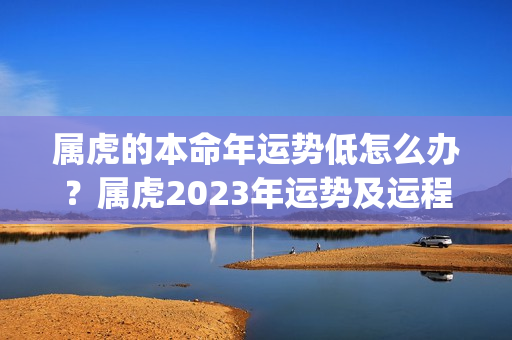 属虎的本命年运势低怎么办？属虎2023年运势及运程_2023年属虎人的全年运势