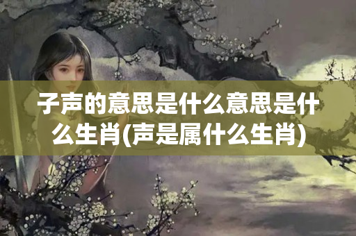 子声的意思是什么意思是什么生肖(声是属什么生肖)