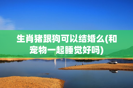 生肖猪跟狗可以结婚么(和宠物一起睡觉好吗)