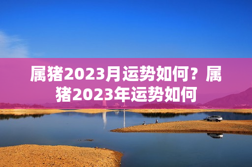 属猪2023月运势如何？属猪2023年运势如何