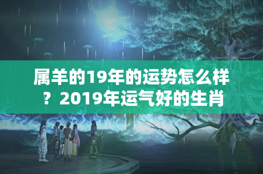 属羊的19年的运势怎么样？2019年运气好的生肖