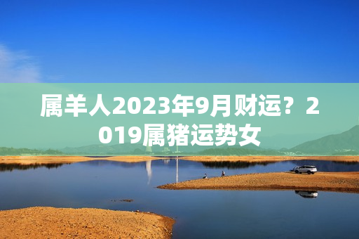 属羊人2023年9月财运？2019属猪运势女