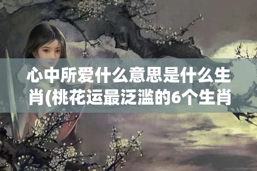 心中所爱什么意思是什么生肖(桃花运最泛滥的6个生肖女)