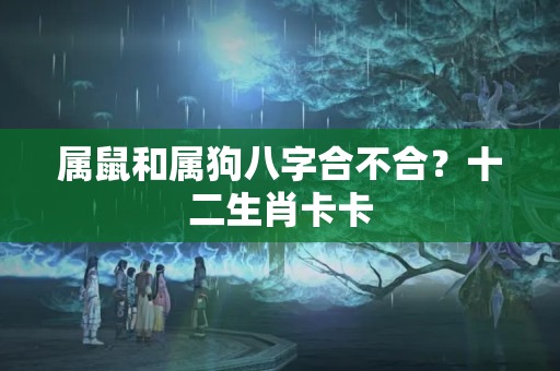 属鼠和属狗八字合不合？十二生肖卡卡