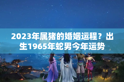 2023年属猪的婚姻运程？出生1965年蛇男今年运势