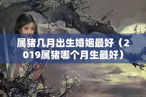 属猪几月出生婚姻最好（2019属猪哪个月生最好）