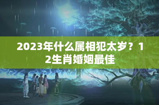 2023年什么属相犯太岁？12生肖婚姻最佳