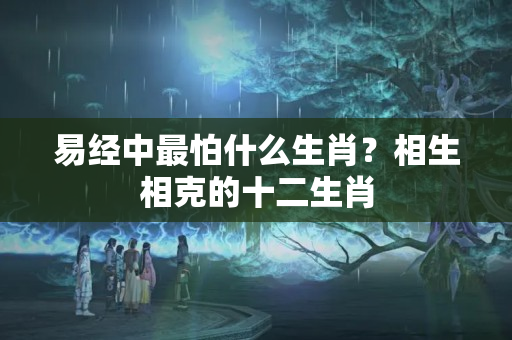 易经中最怕什么生肖？相生相克的十二生肖