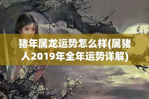 猪年属龙运势怎么样(属猪人2019年全年运势详解)