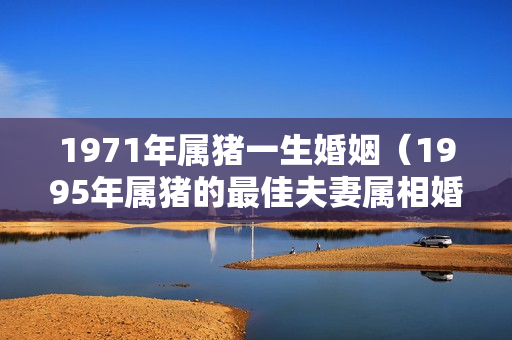 1971年属猪一生婚姻（1995年属猪的最佳夫妻属相婚配表）