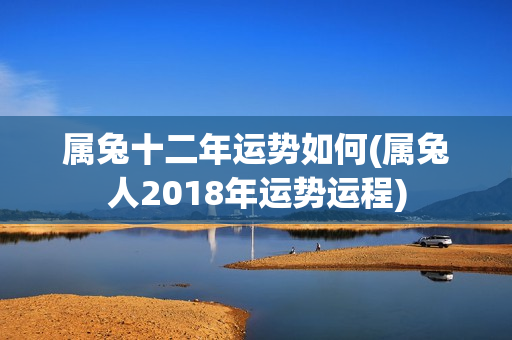 属兔十二年运势如何(属兔人2018年运势运程)