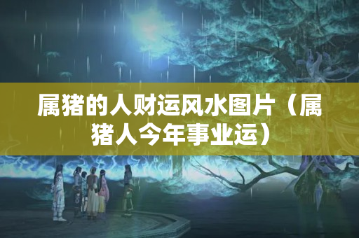 属猪的人财运风水图片（属猪人今年事业运）