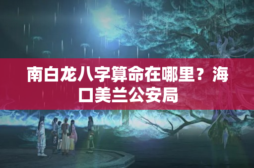 南白龙八字算命在哪里？海口美兰公安局