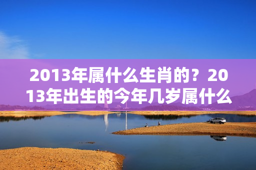 2013年属什么生肖的？2013年出生的今年几岁属什么