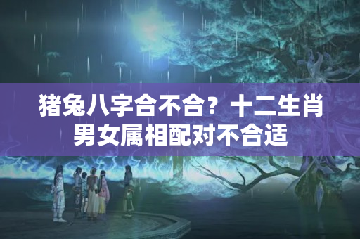 猪兔八字合不合？十二生肖男女属相配对不合适