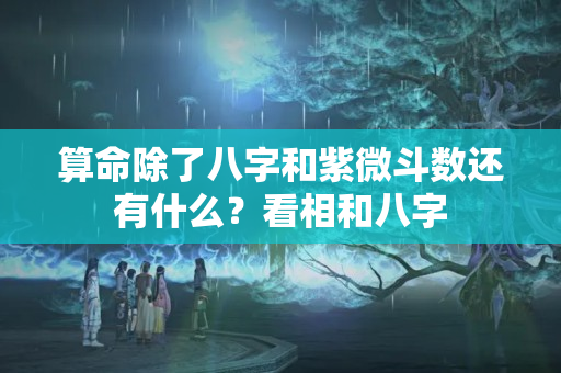 算命除了八字和紫微斗数还有什么？看相和八字