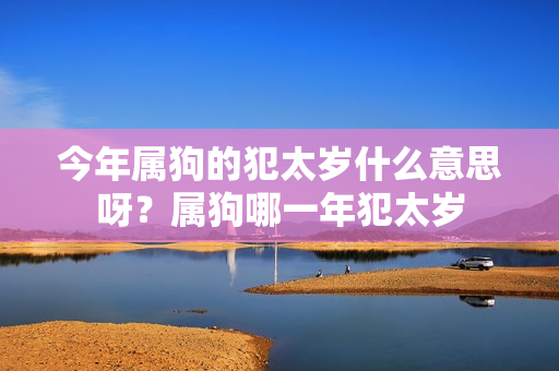 今年属狗的犯太岁什么意思呀？属狗哪一年犯太岁