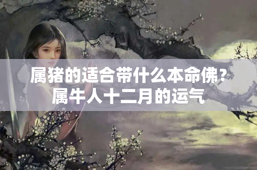 属猪的适合带什么本命佛？属牛人十二月的运气