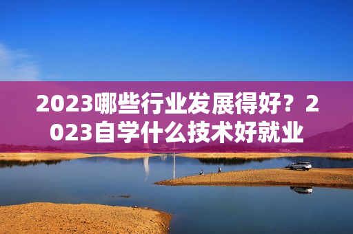 2023哪些行业发展得好？2023自学什么技术好就业