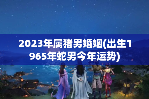 2023年属猪男婚姻(出生1965年蛇男今年运势)