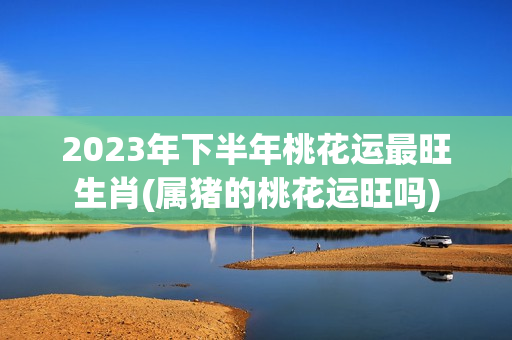 2023年下半年桃花运最旺生肖(属猪的桃花运旺吗)