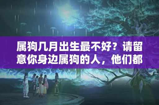 属狗几月出生最不好？请留意你身边属狗的人，他们都有不为人知的秘密。