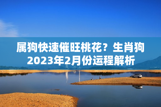 属狗快速催旺桃花？生肖狗2023年2月份运程解析