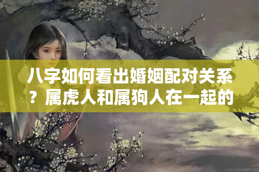 八字如何看出婚姻配对关系？属虎人和属狗人在一起的婚姻是这样的！