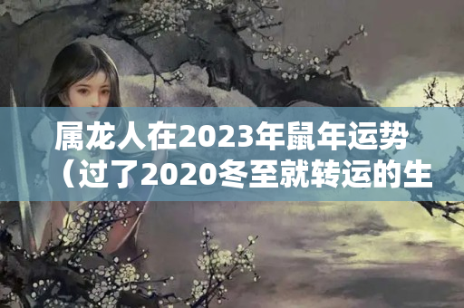 属龙人在2023年鼠年运势（过了2020冬至就转运的生肖）