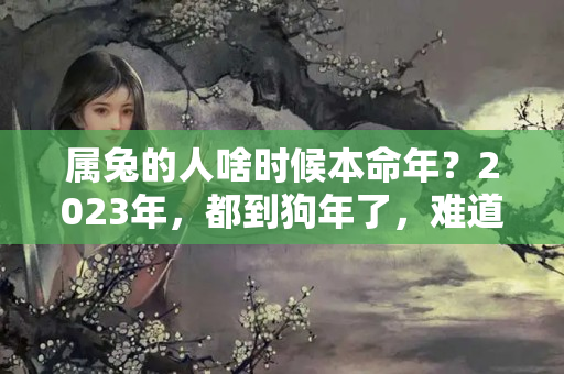 属兔的人啥时候本命年？2023年，都到狗年了，难道在本命年的你没想过养一条狗吗？