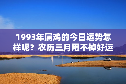 1993年属鸡的今日运势怎样呢？农历三月甩不掉好运气的3大生肖，身体好、生意好、感情好！