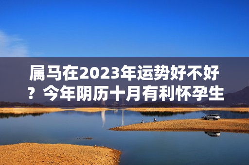 属马在2023年运势好不好？今年阴历十月有利怀孕生“男孩”的生肖