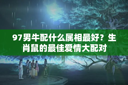 97男牛配什么属相最好？生肖鼠的最佳爱情大配对