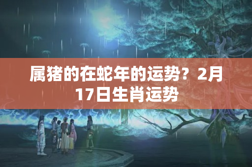 属猪的在蛇年的运势？2月17日生肖运势