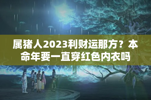 属猪人2023利财运那方？本命年要一直穿红色内衣吗