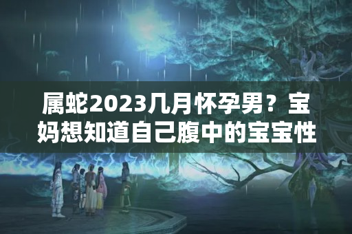 属蛇2023几月怀孕男？宝妈想知道自己腹中的宝宝性别吗？看看你都做了哪些胎梦吧！