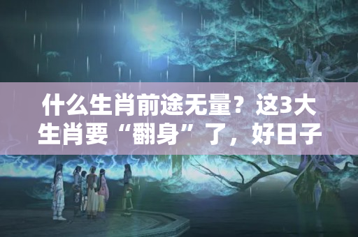 什么生肖前途无量？这3大生肖要“翻身”了，好日子要来了，快快打开门迎接“囍事”