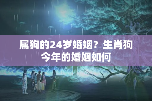 属狗的24岁婚姻？生肖狗今年的婚姻如何