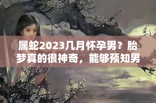 属蛇2023几月怀孕男？胎梦真的很神奇，能够预知男和女！这几种胎梦，会生男孩！