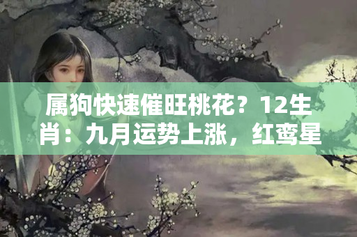 属狗快速催旺桃花？12生肖：九月运势上涨，红鸾星照耀，桃花铺满地的三大生肖！